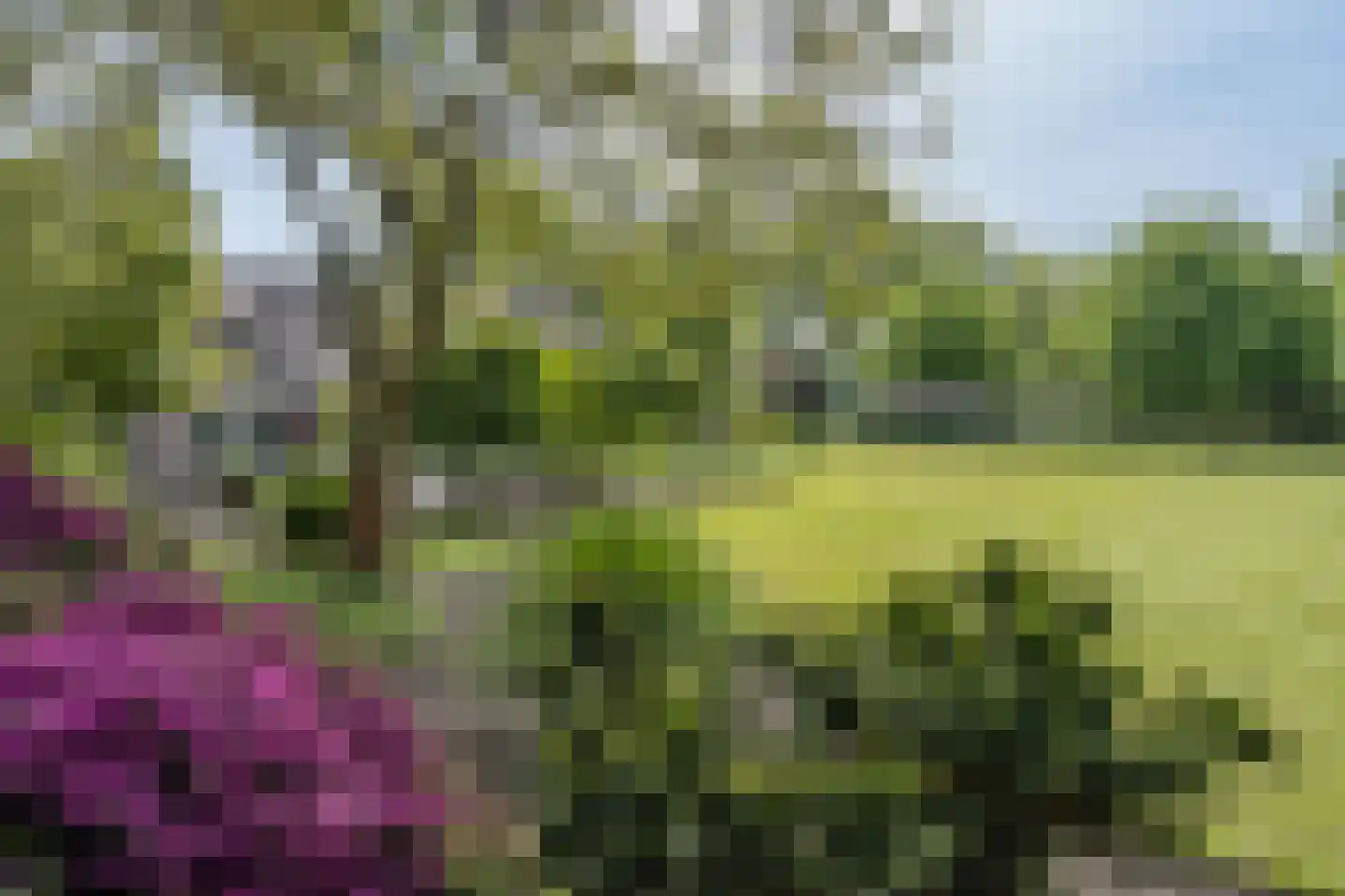 Bergweg 7 Uden thumbnail 51