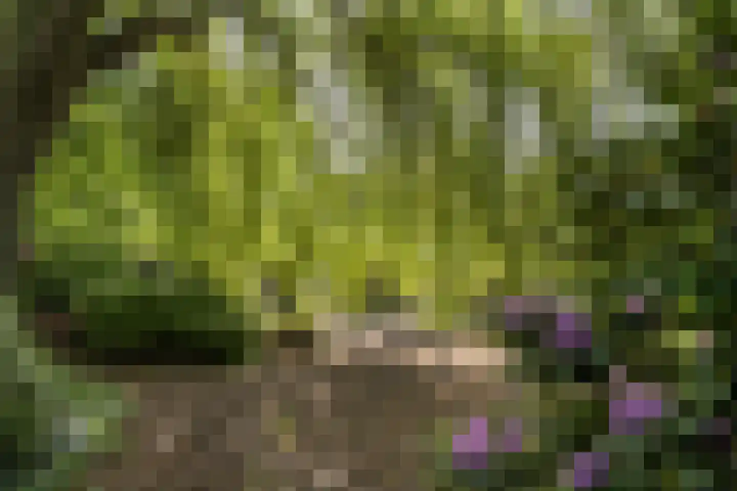 Bergweg 7 Uden thumbnail 52