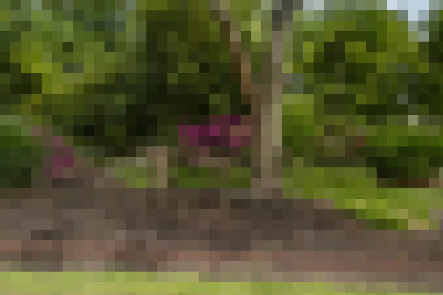 Bergweg 7 Uden thumbnail 53