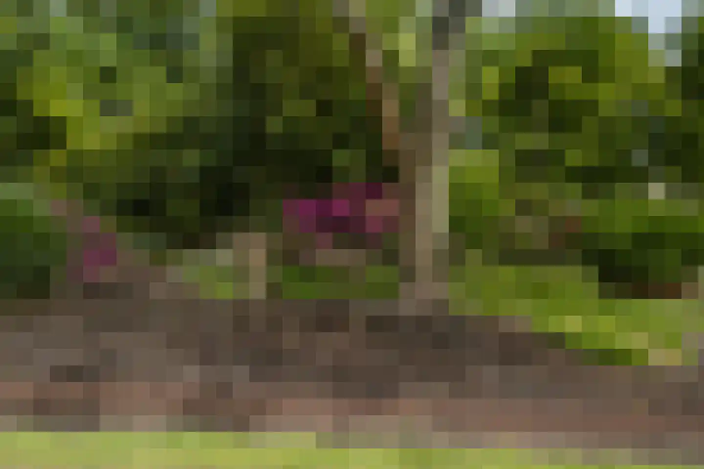 Bergweg 7 Uden thumbnail 53