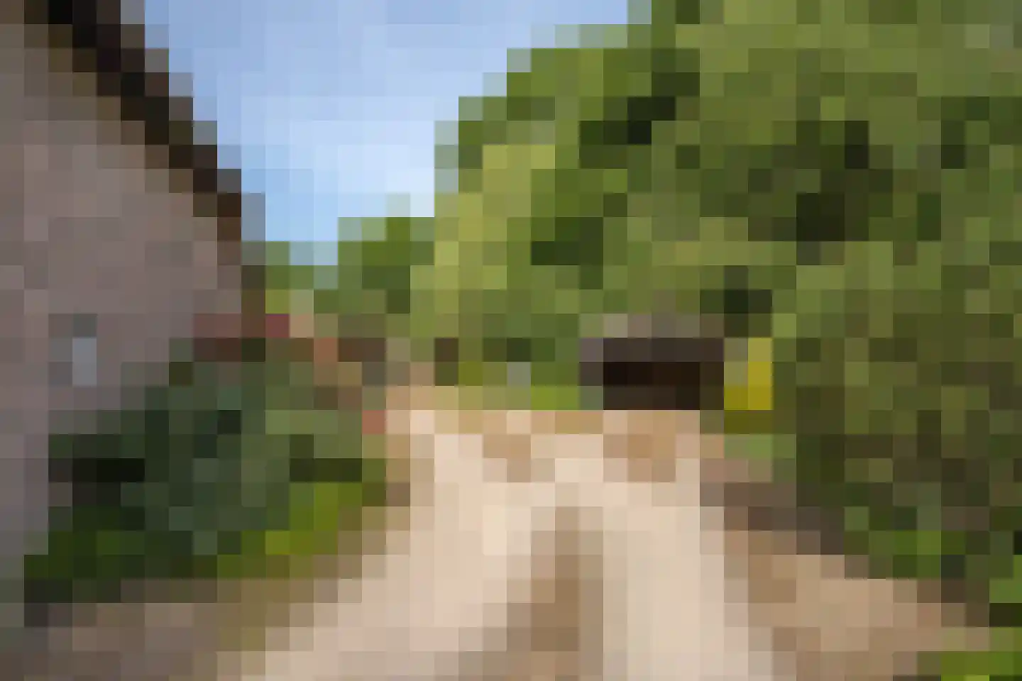 Bergweg 7 Uden thumbnail 60