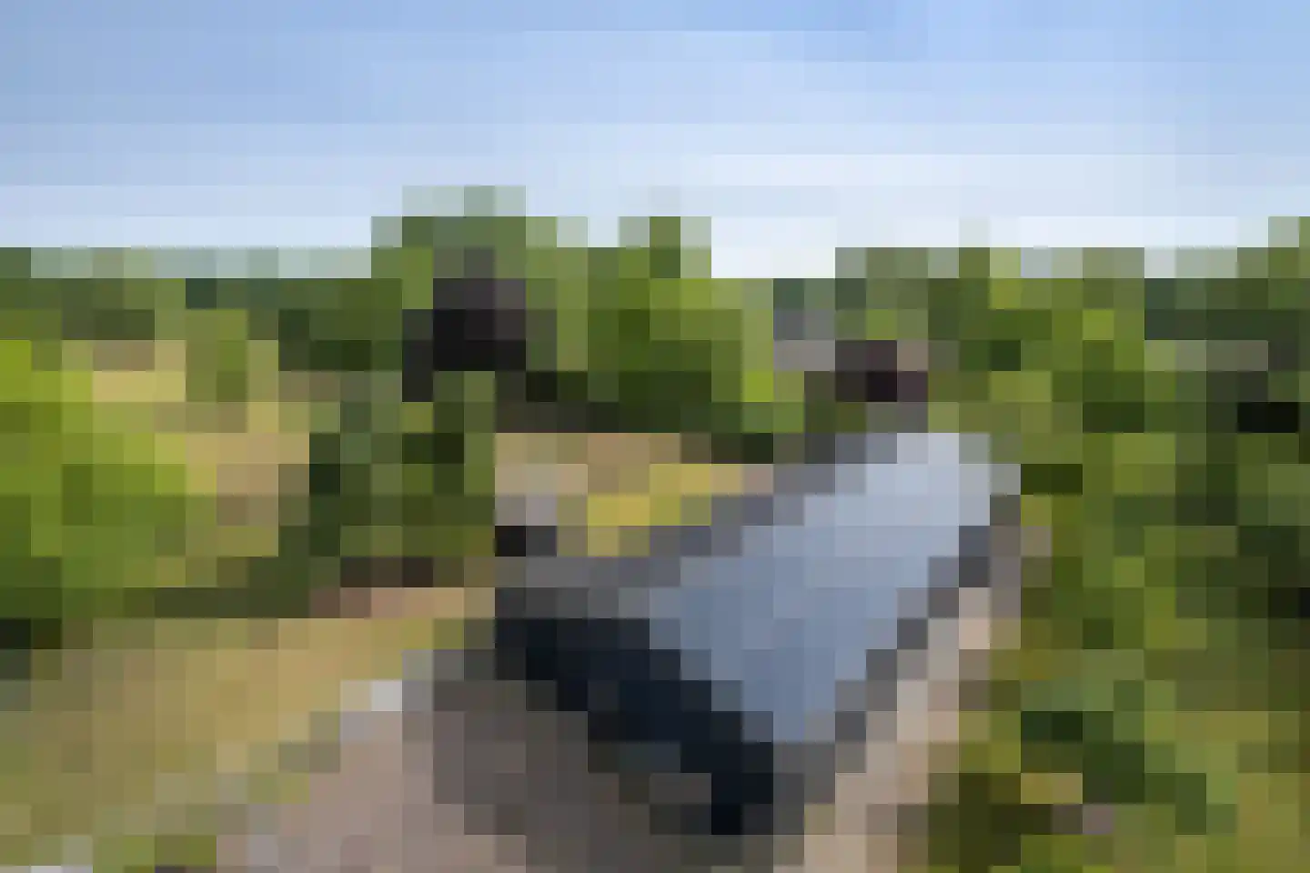 Bergweg 7 Uden thumbnail 61