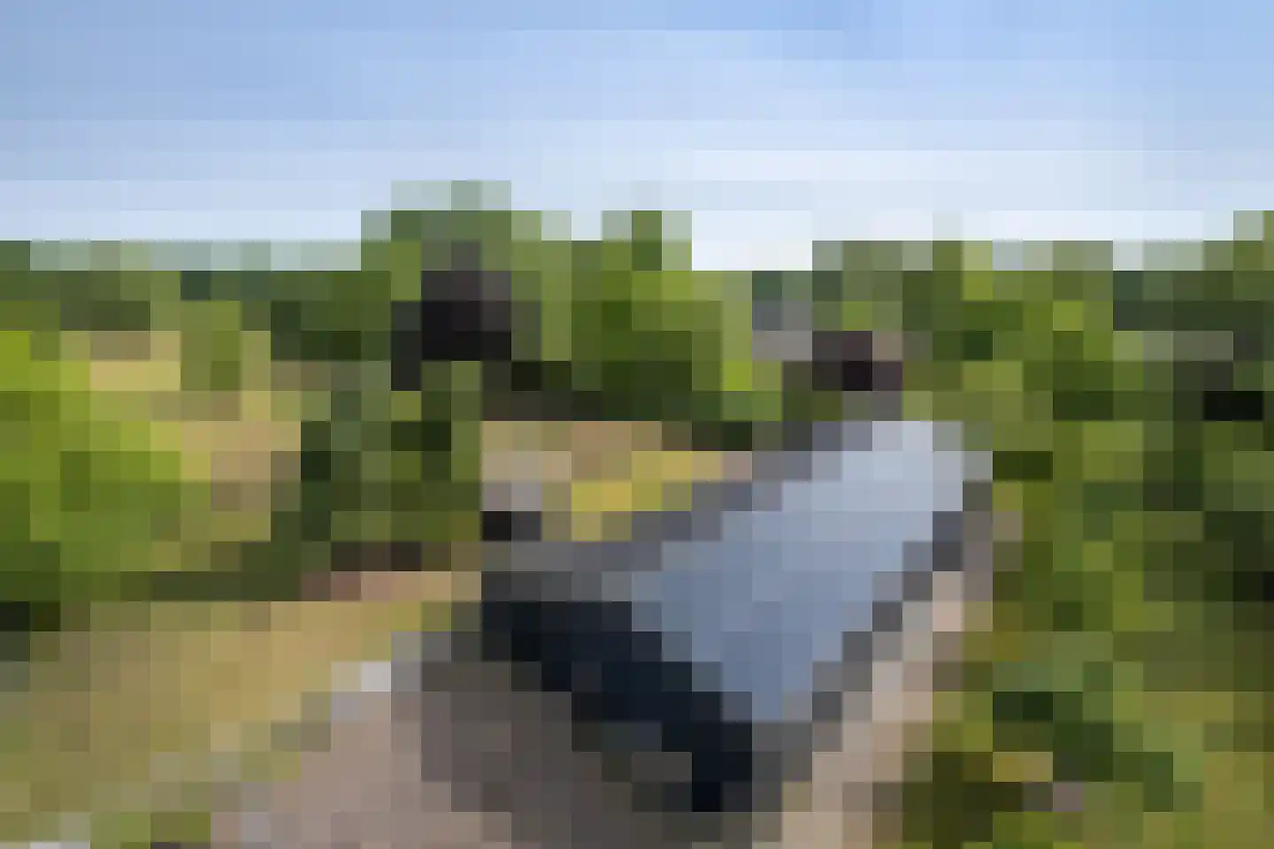 Bergweg 7 Uden thumbnail 61