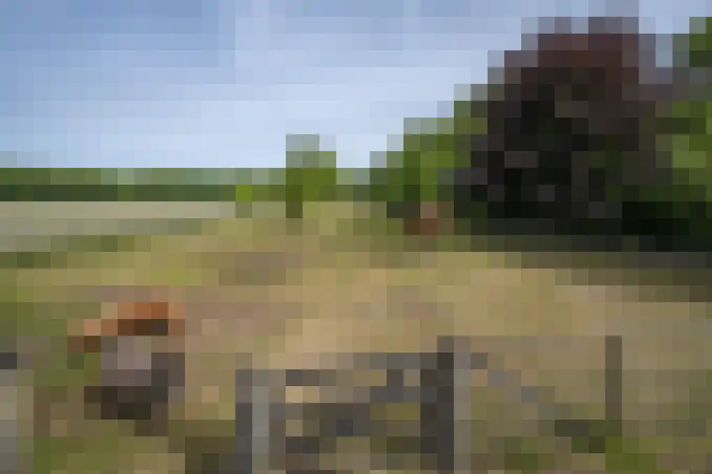 Bergweg 7 Uden thumbnail 62