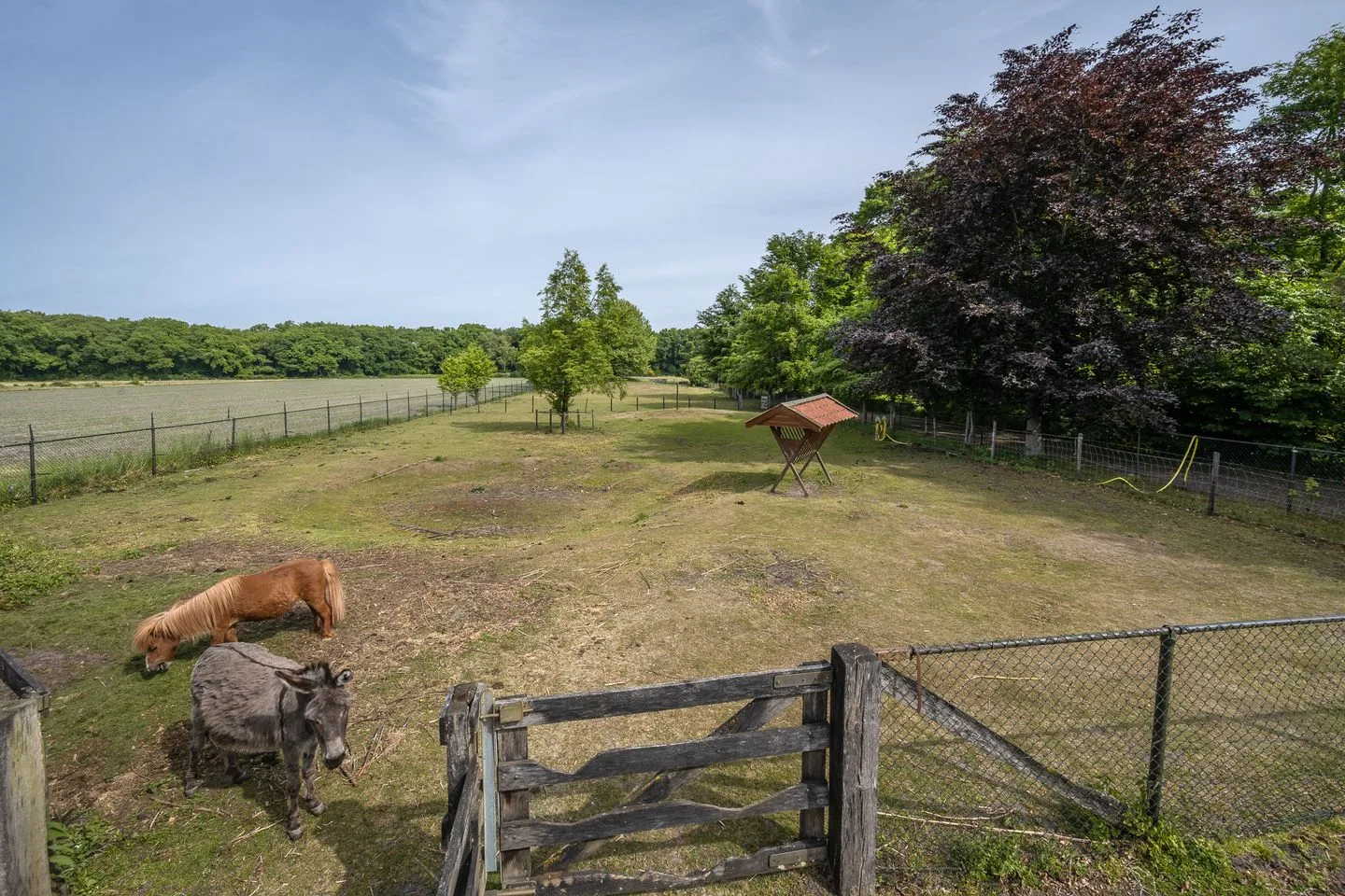 Bergweg 7 Uden thumbnail 62