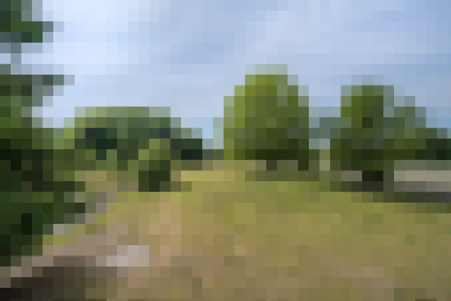 Bergweg 7 Uden thumbnail 63
