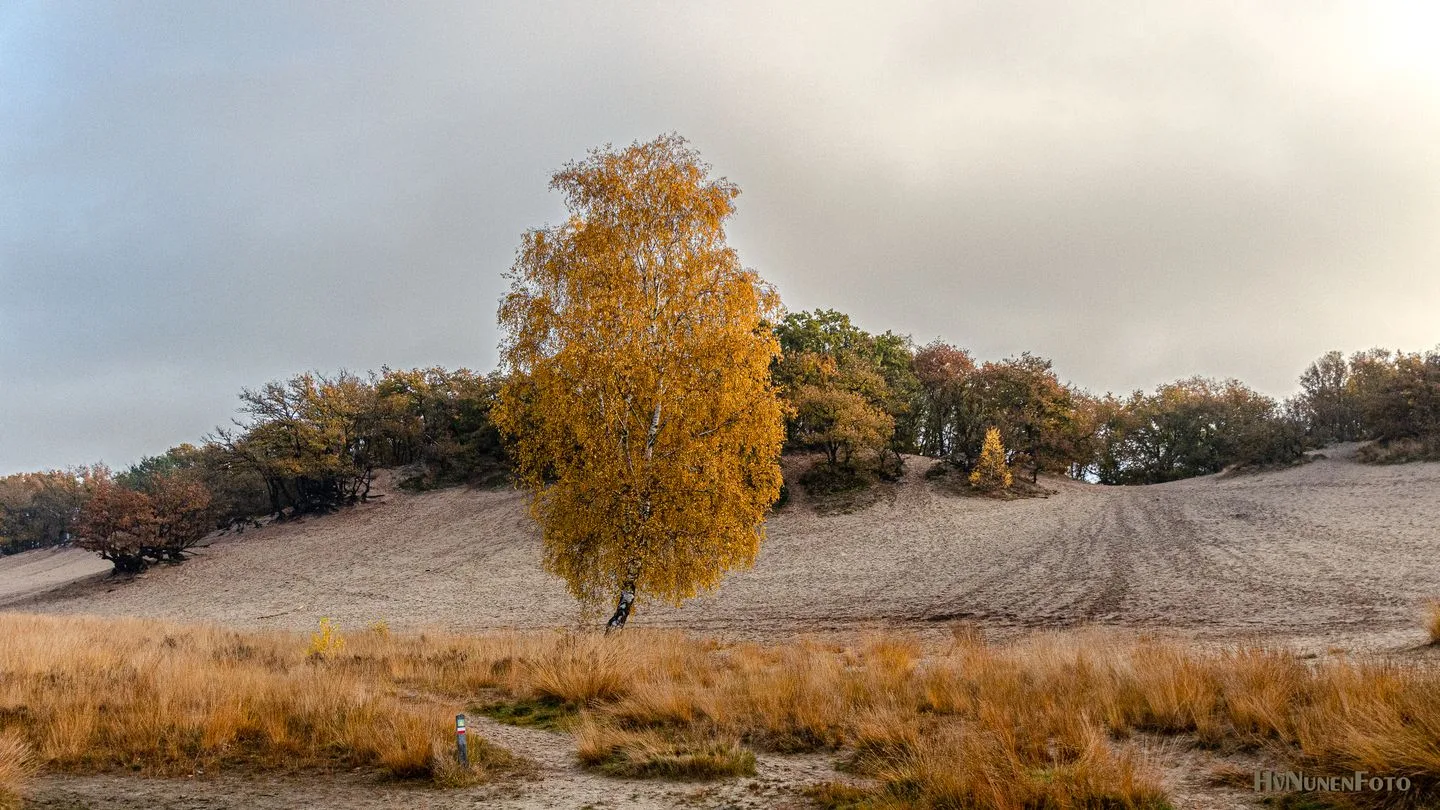 Bergweg 7 Uden thumbnail 66