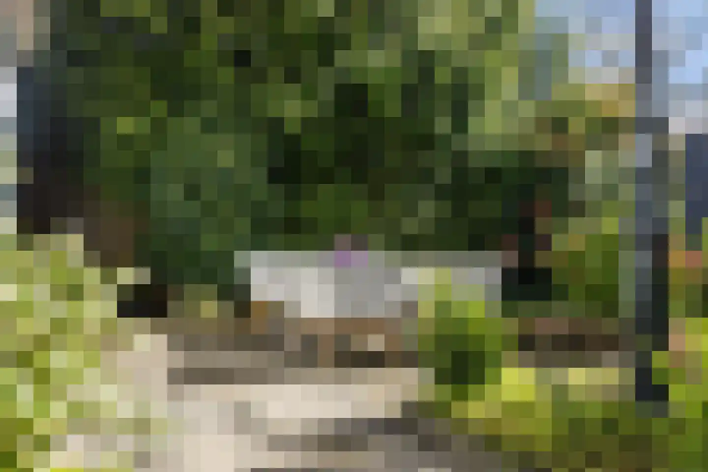 Bergweg 74 Zeist thumbnail 22