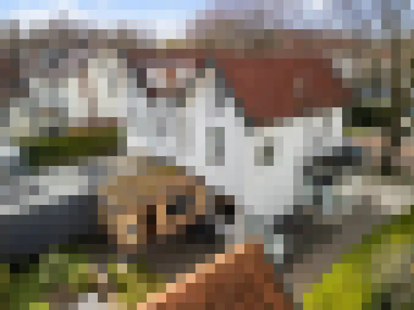 Bergweg 74 Zeist thumbnail 28