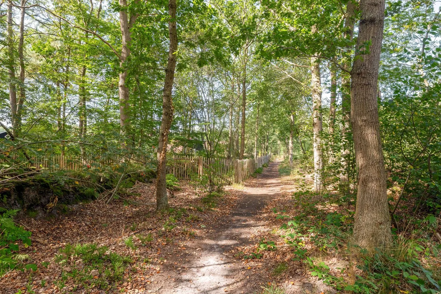 Bergweg 76 R 463 Baars thumbnail 31