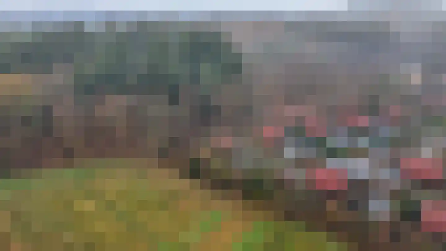 Bergweg 76 R 472 Baars thumbnail 31