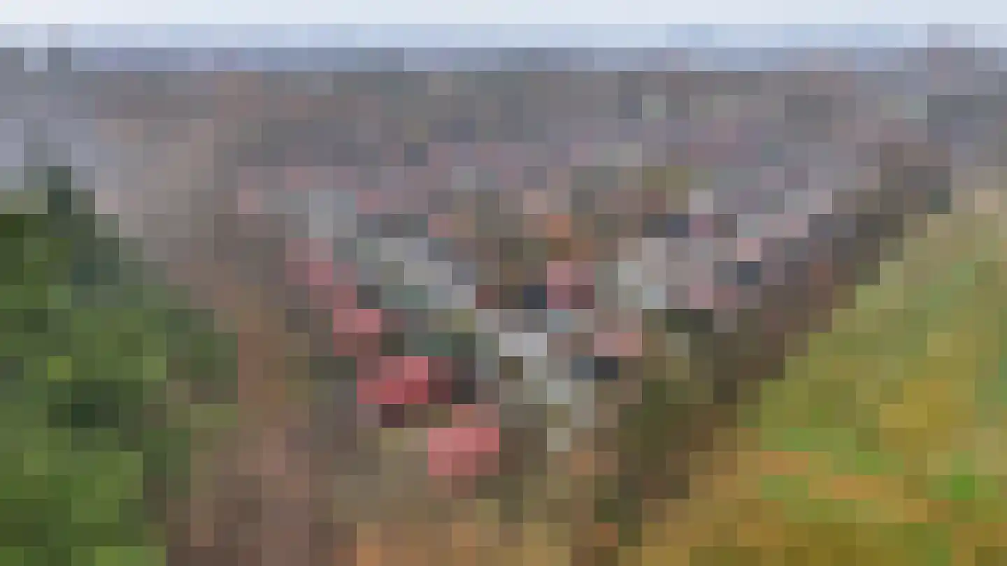Bergweg 76 R 472 Baars thumbnail 32