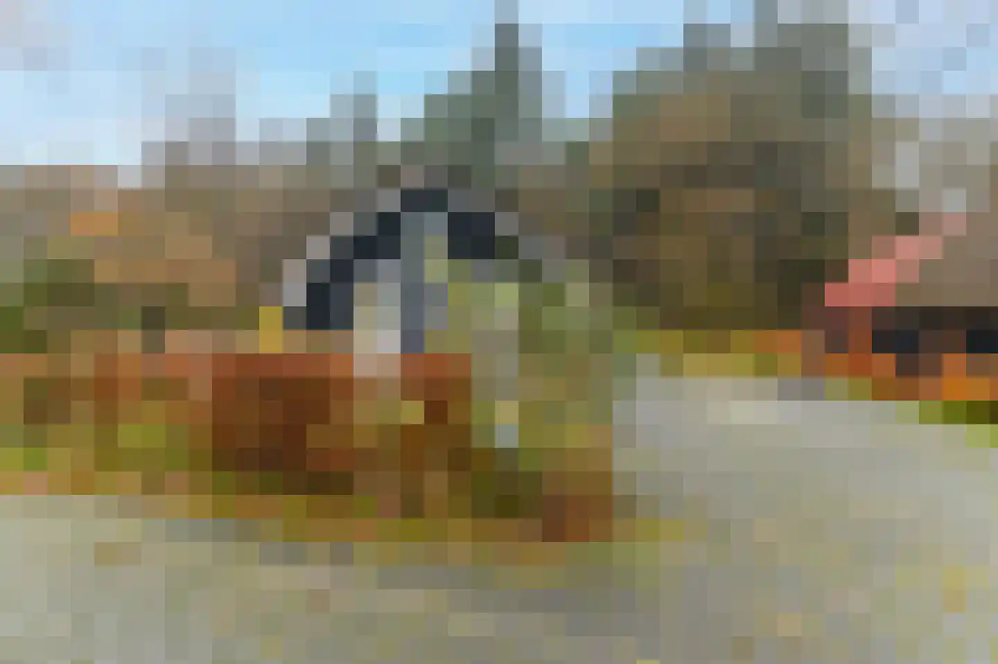 Bergweg 76 R 472 Baars thumbnail 4