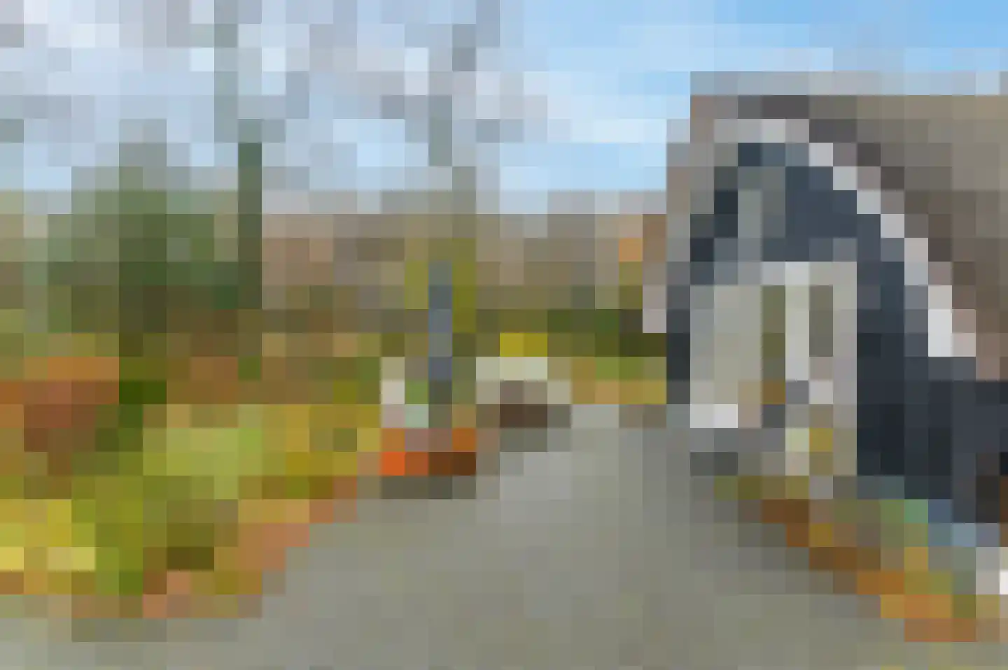 Bergweg 76 R 472 Baars thumbnail 6