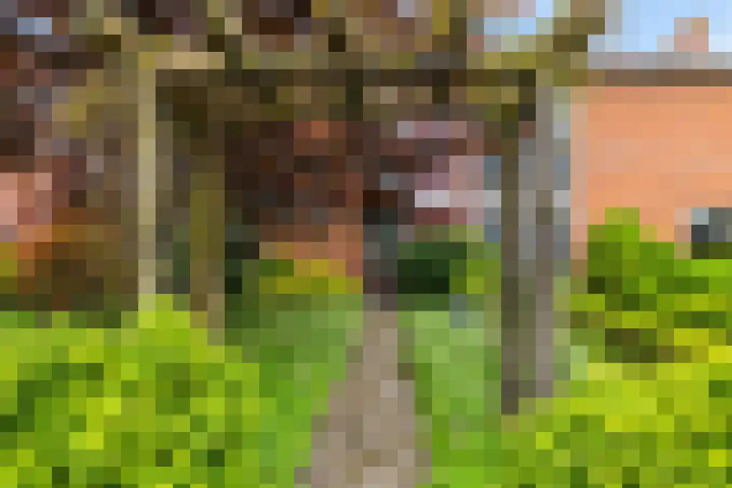 Bergweg 8 Gasselte thumbnail 37