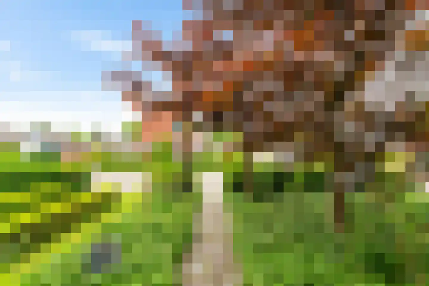 Bergweg 8 Gasselte thumbnail 38