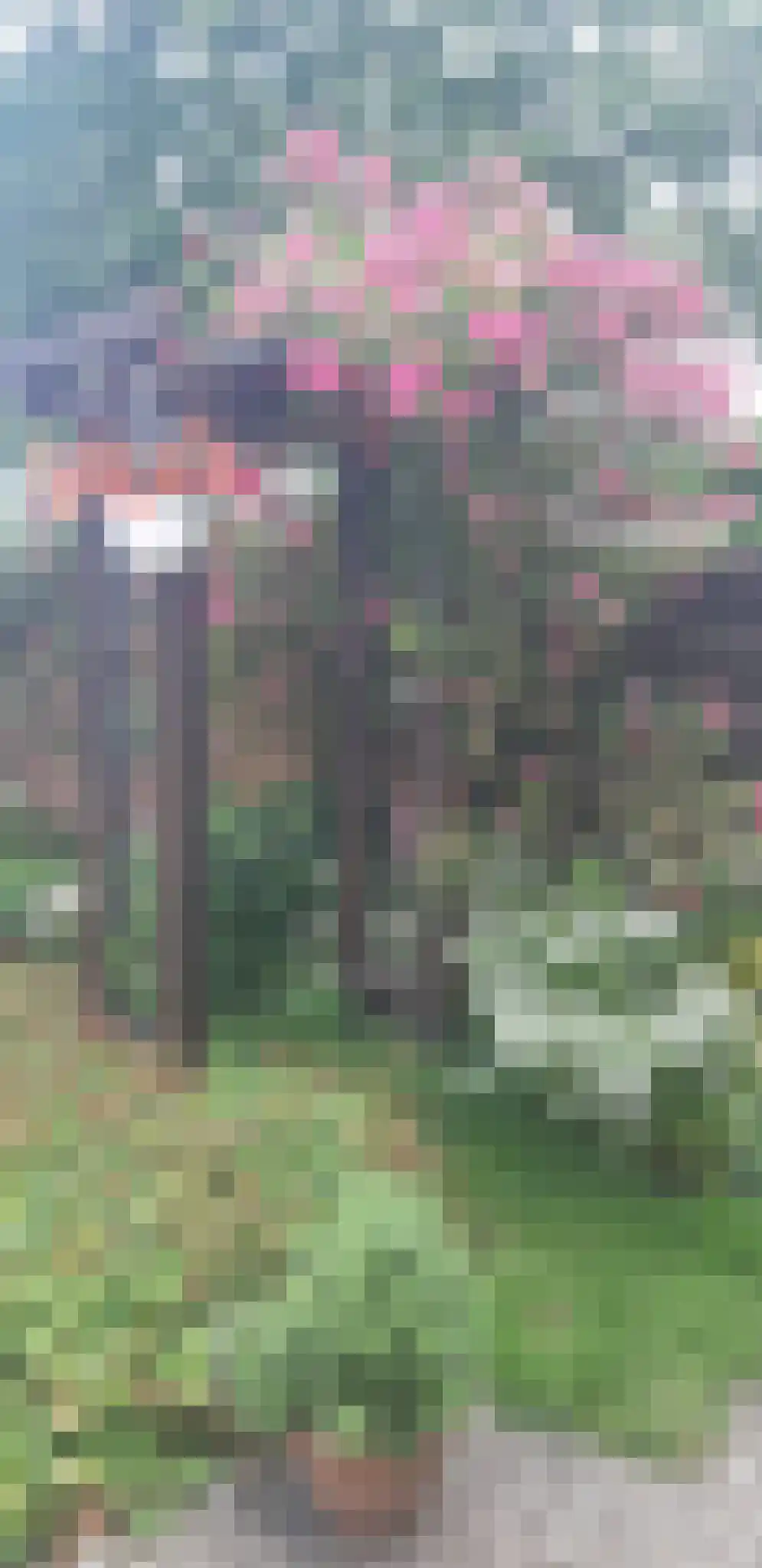 Bergweg 8 Gasselte thumbnail 43