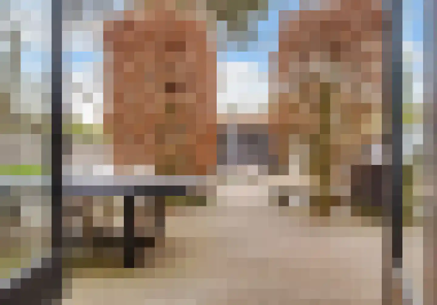Bergweg 82 Zeist thumbnail 30