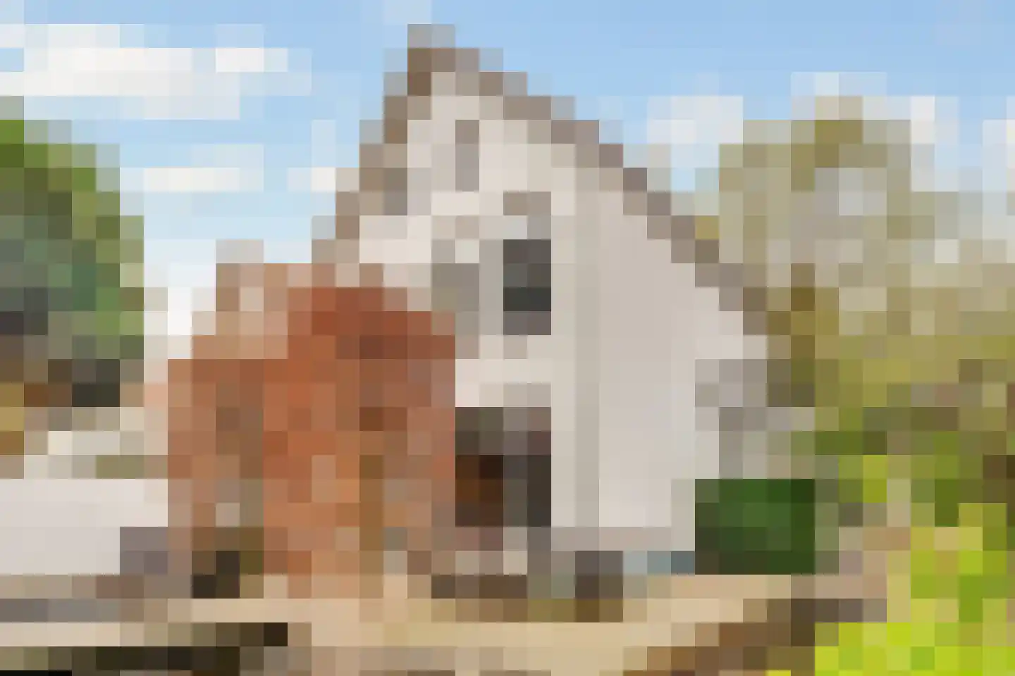 Bergweg 82 Zeist thumbnail 32