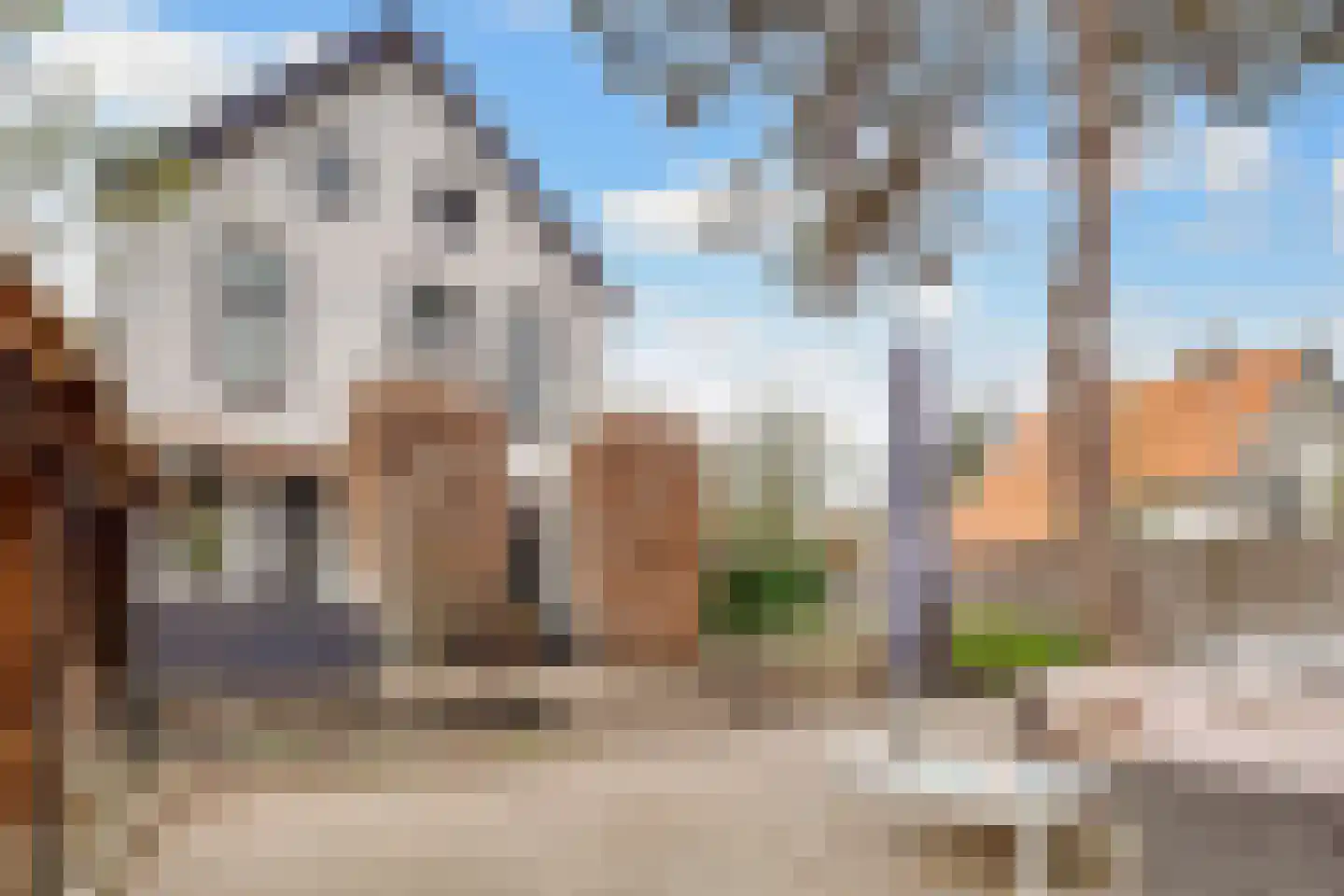 Bergweg 82 Zeist thumbnail 35