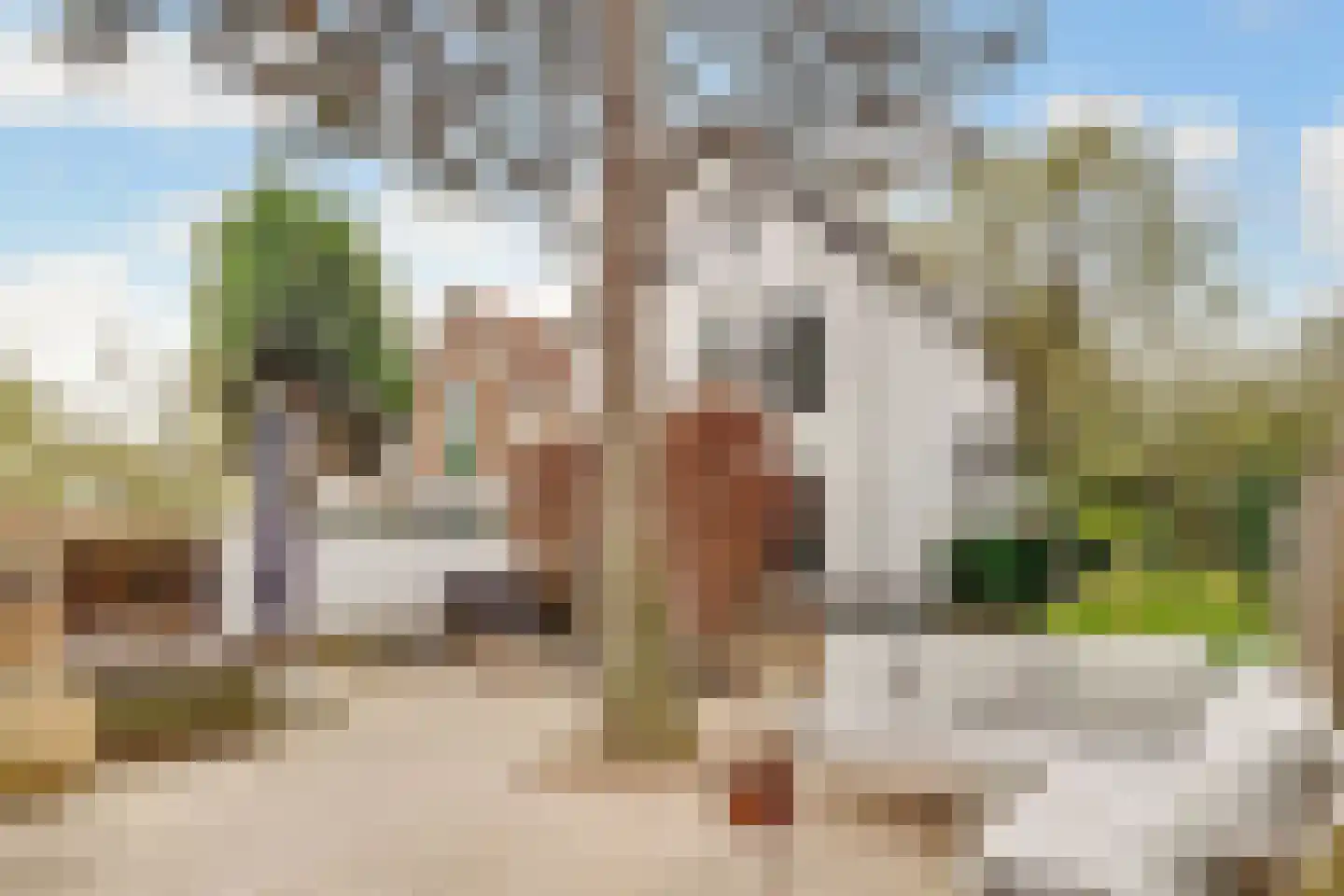 Bergweg 82 Zeist thumbnail 36