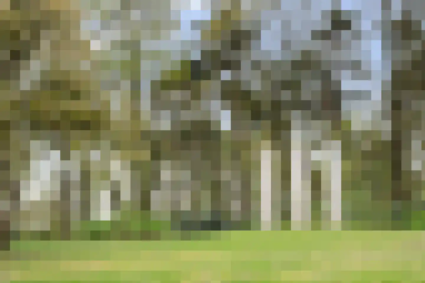 Bergweg Markelo thumbnail 5