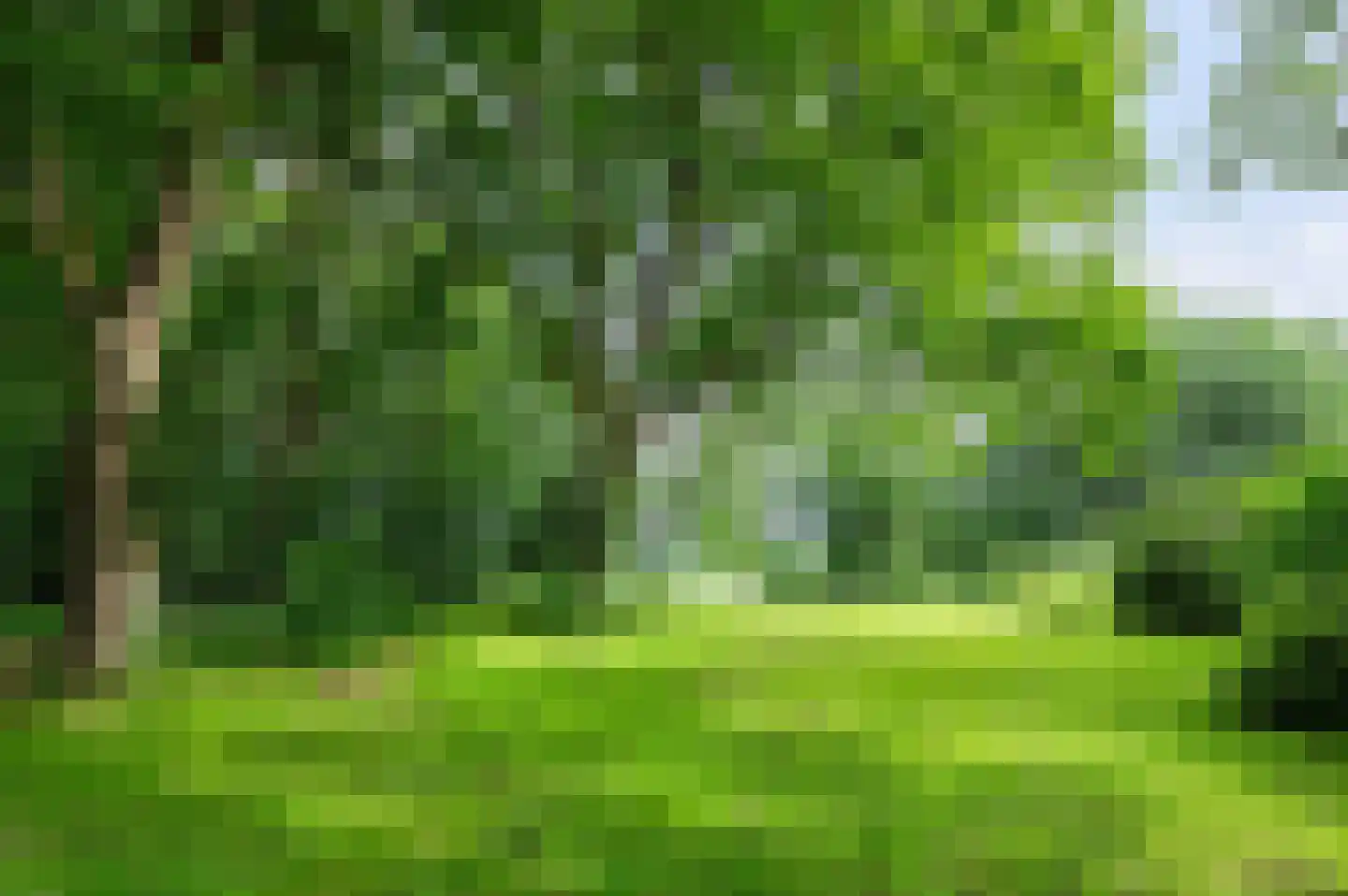Bergweg Markelo thumbnail 7