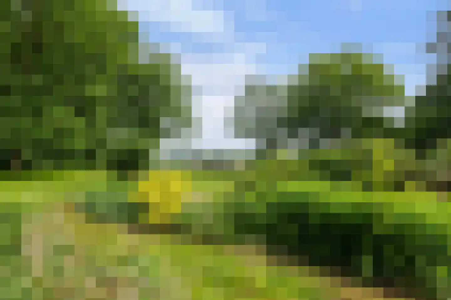 Bergweg Markelo thumbnail 8