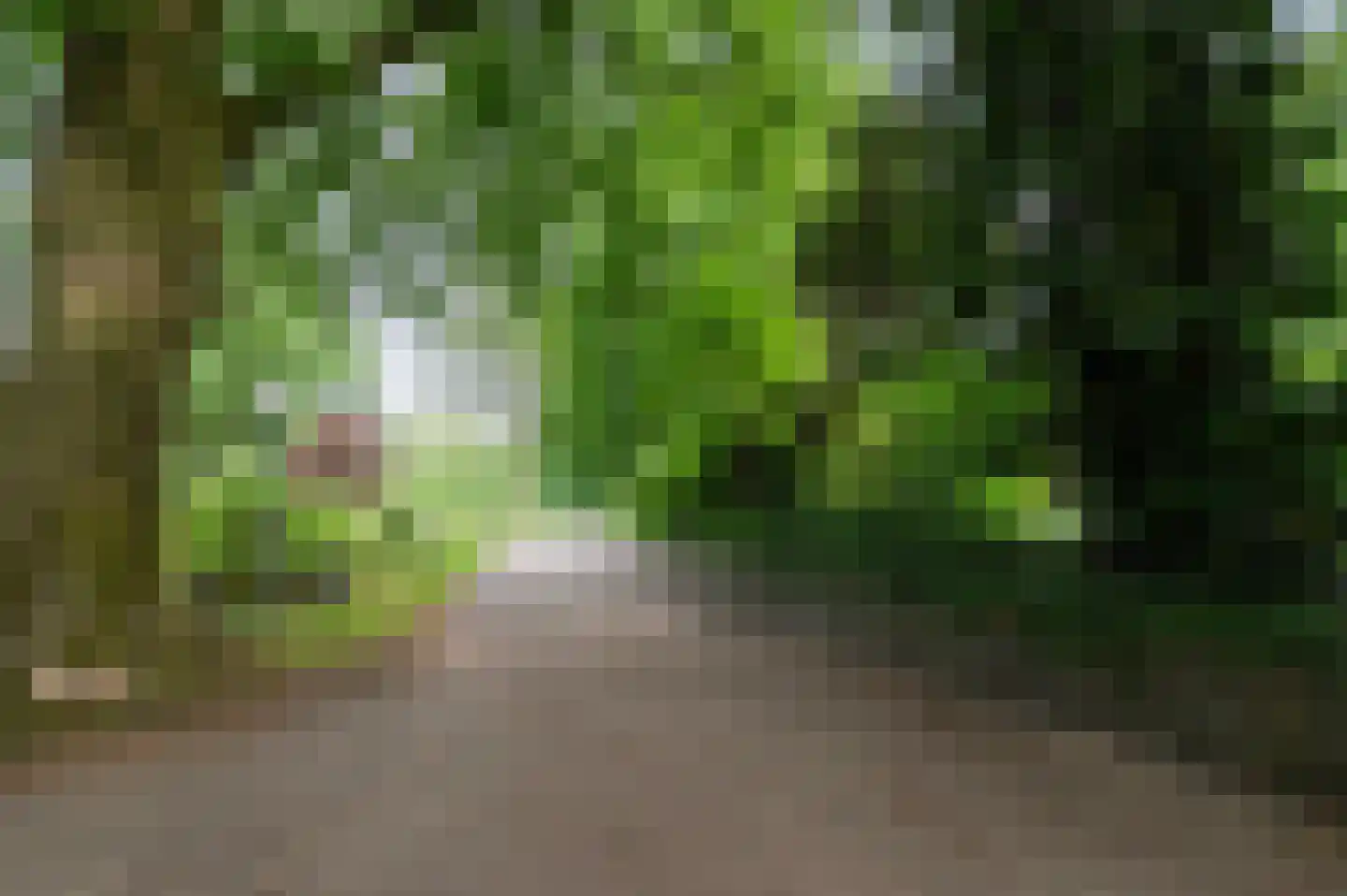 Bergweg Markelo thumbnail 9