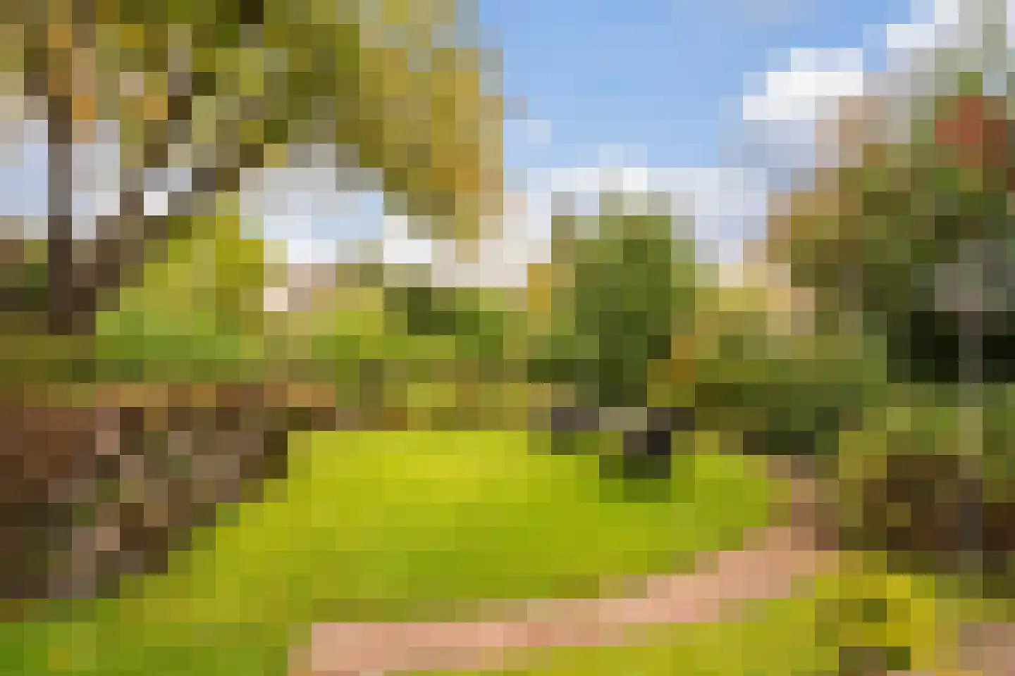 Bergweg-noord 1 Bergschenhoek thumbnail 53