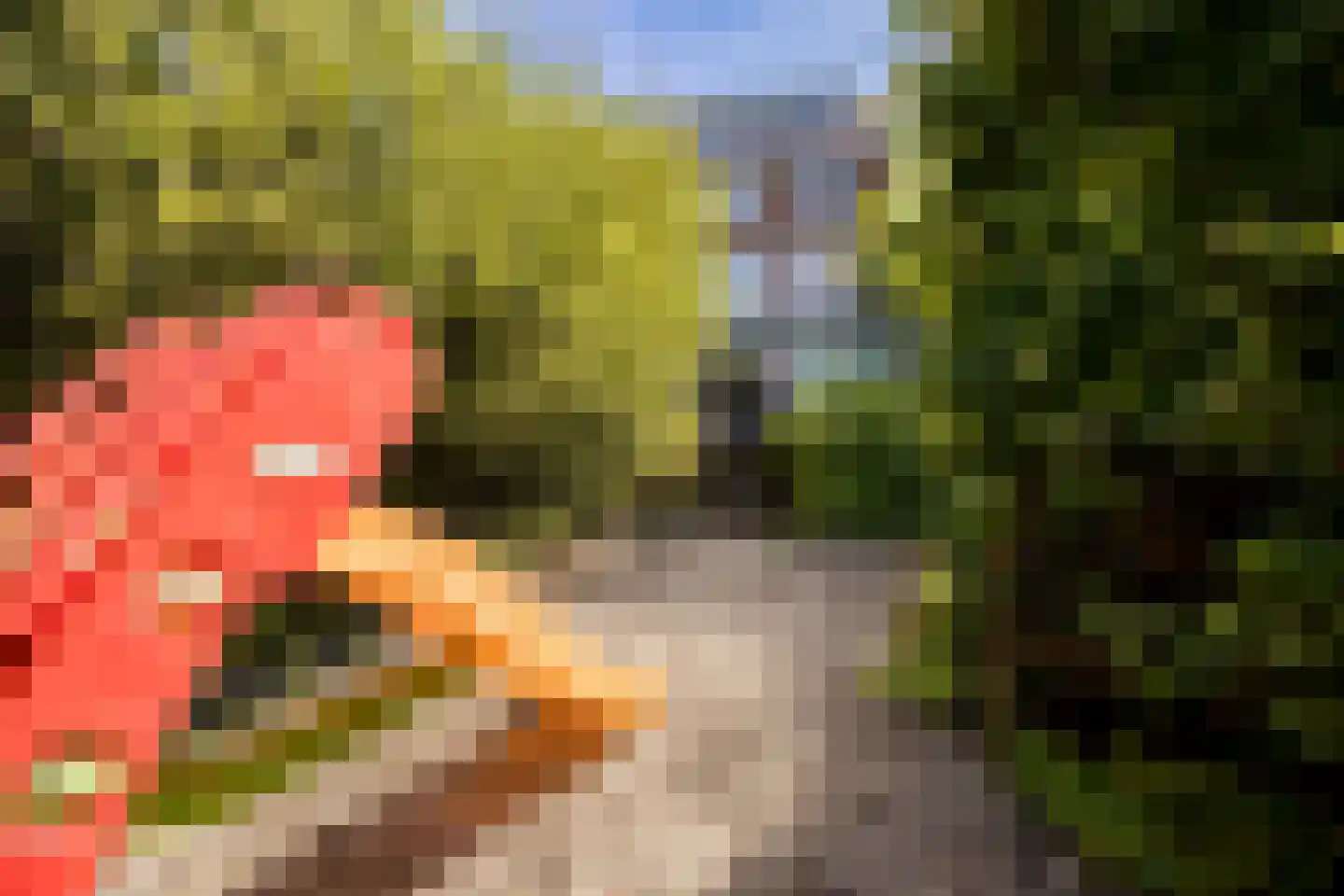 Bergweg-noord 28 Bergschenhoek thumbnail 28
