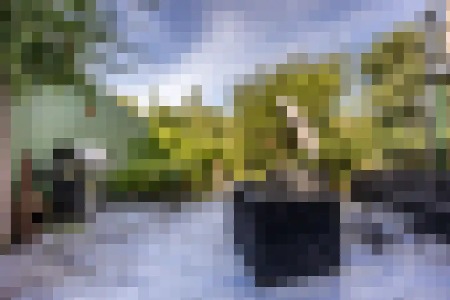 Bergweg-noord 28 Bergschenhoek thumbnail 4