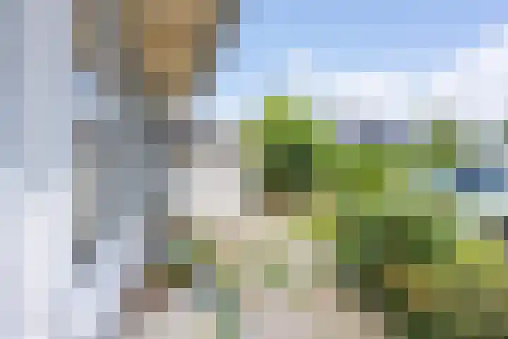 Bergweide 125 Vaals thumbnail 15