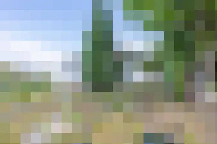 Bergweide 125 Vaals thumbnail 17