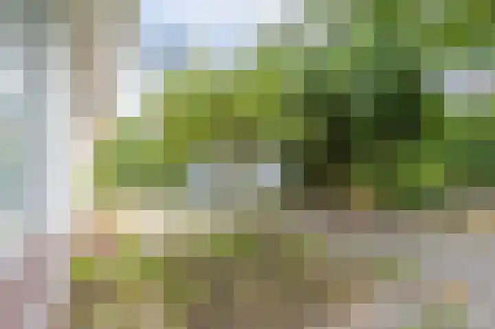 Bergweide 125 Vaals thumbnail 18