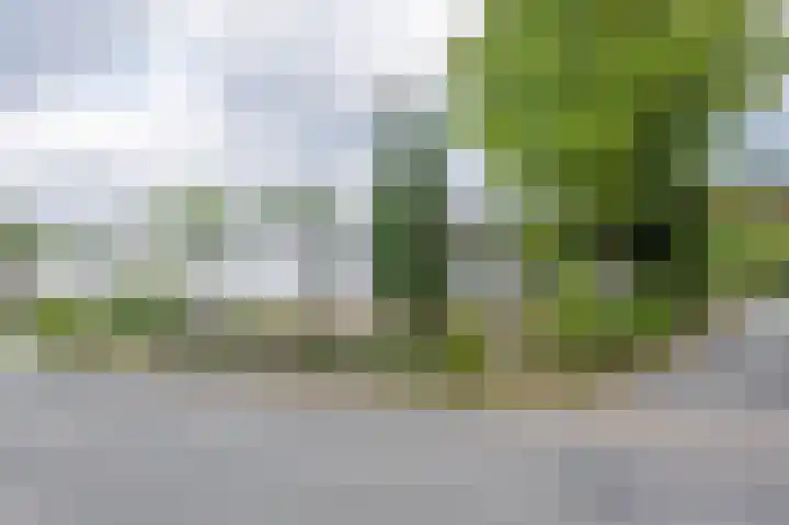 Bergweide 125 Vaals thumbnail 20