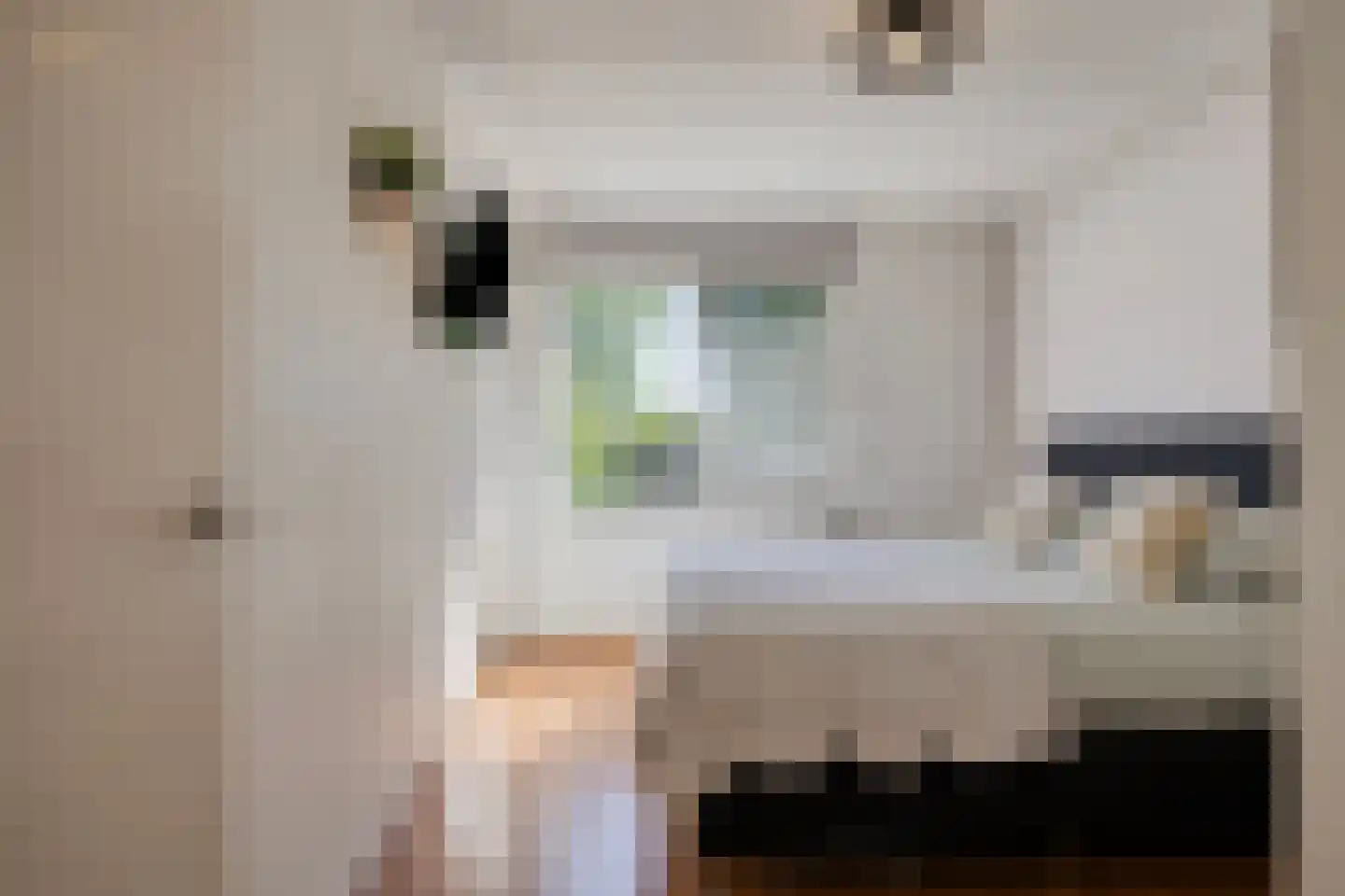 Beringehof 34 Arnhem thumbnail 17