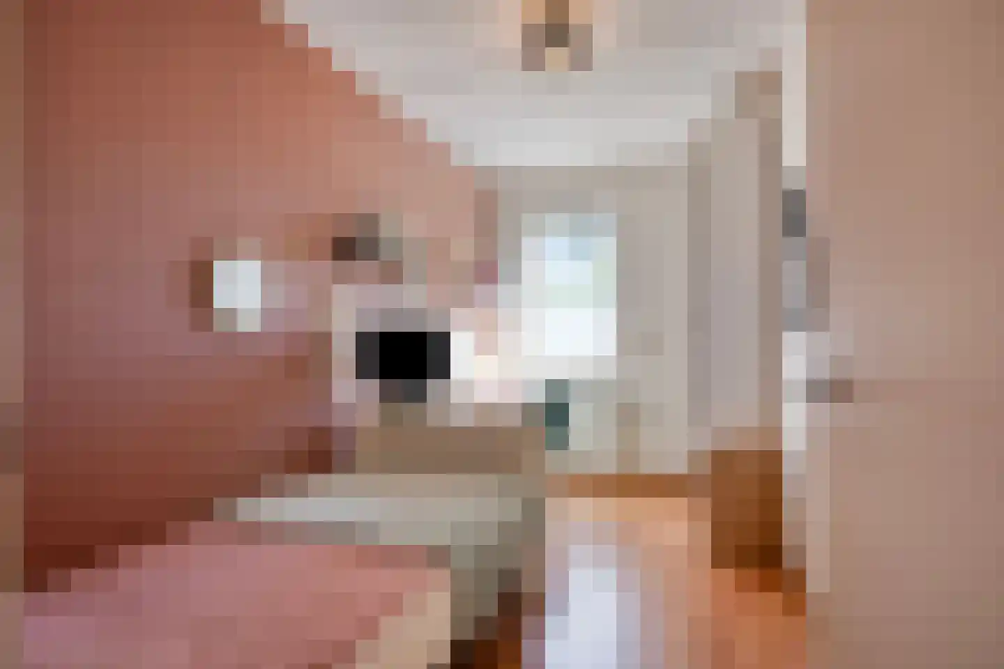 Beringehof 34 Arnhem thumbnail 21