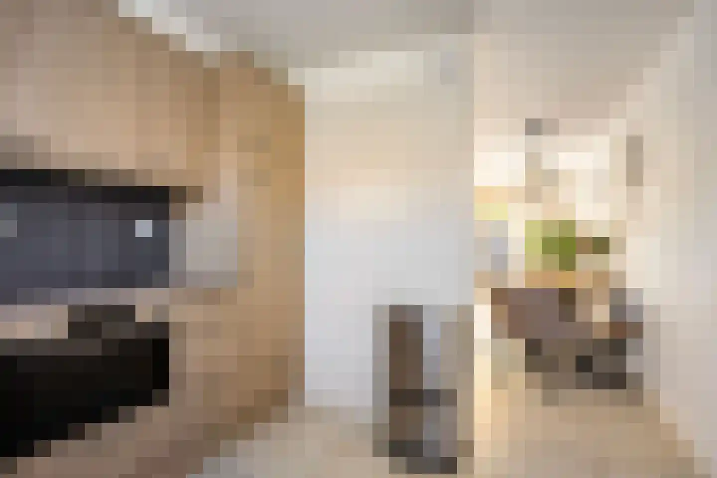 Beringehof 34 Arnhem thumbnail 7