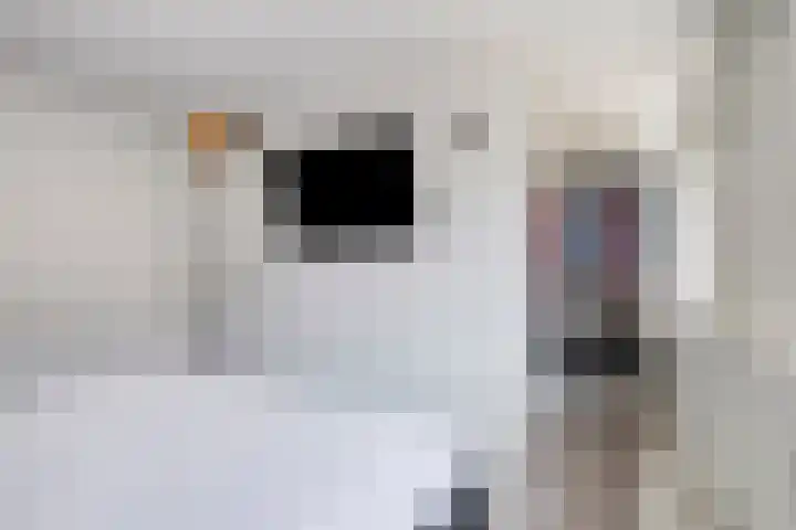 Beringerschans 27 Nieuwegein thumbnail 17