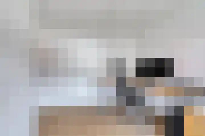 Beringerschans 27 Nieuwegein thumbnail 20