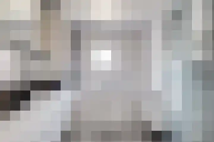 Beringerschans 27 Nieuwegein thumbnail 22