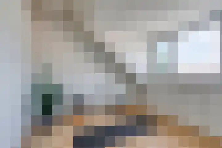 Beringerschans 27 Nieuwegein thumbnail 26