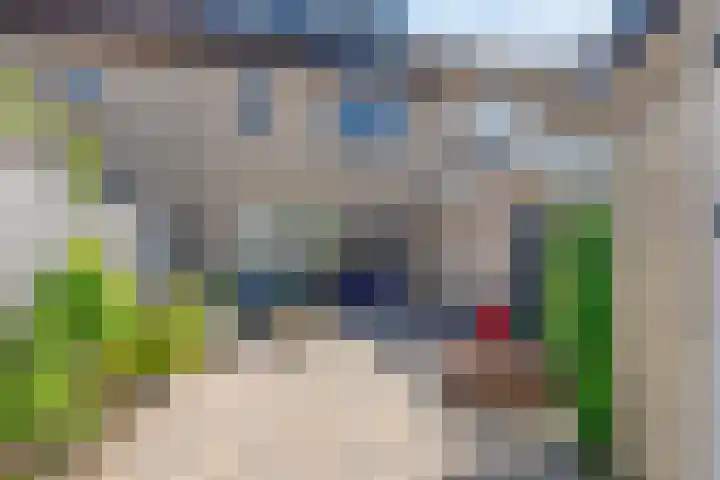Beringerschans 27 Nieuwegein thumbnail 29