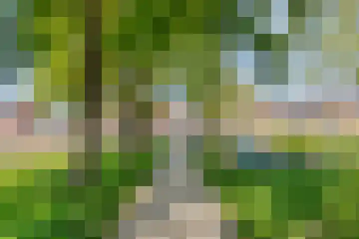 Beringerschans 27 Nieuwegein thumbnail 31