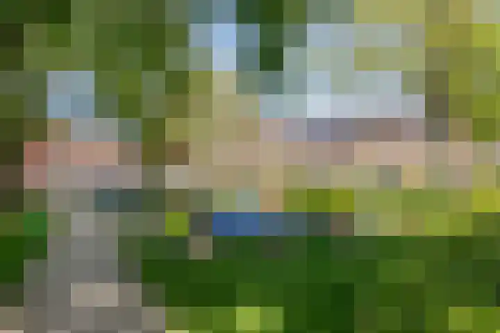 Beringerschans 27 Nieuwegein thumbnail 32