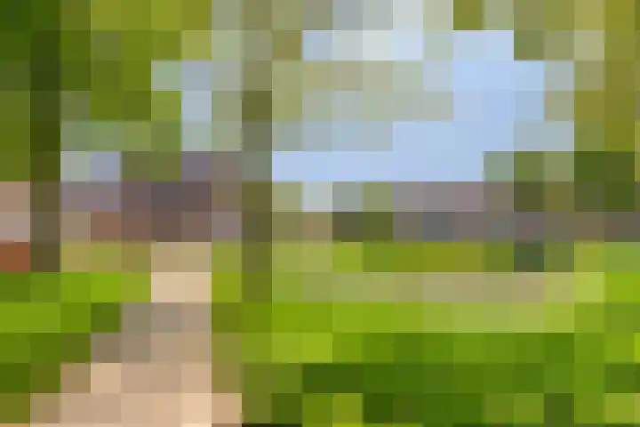 Beringerschans 27 Nieuwegein thumbnail 33