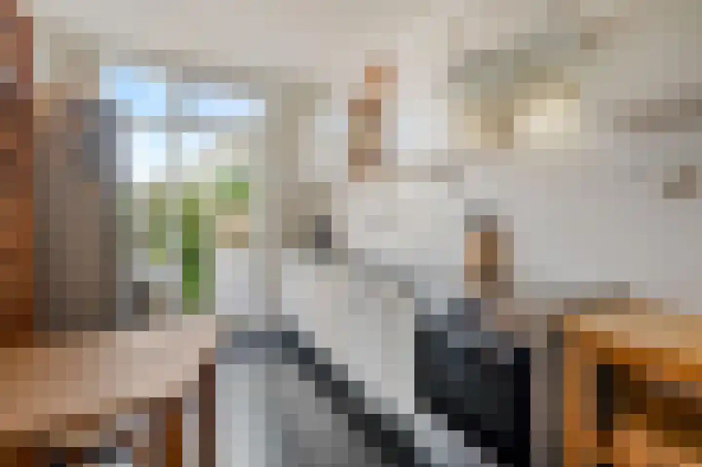 Beringlaan 4 Gouda thumbnail 15