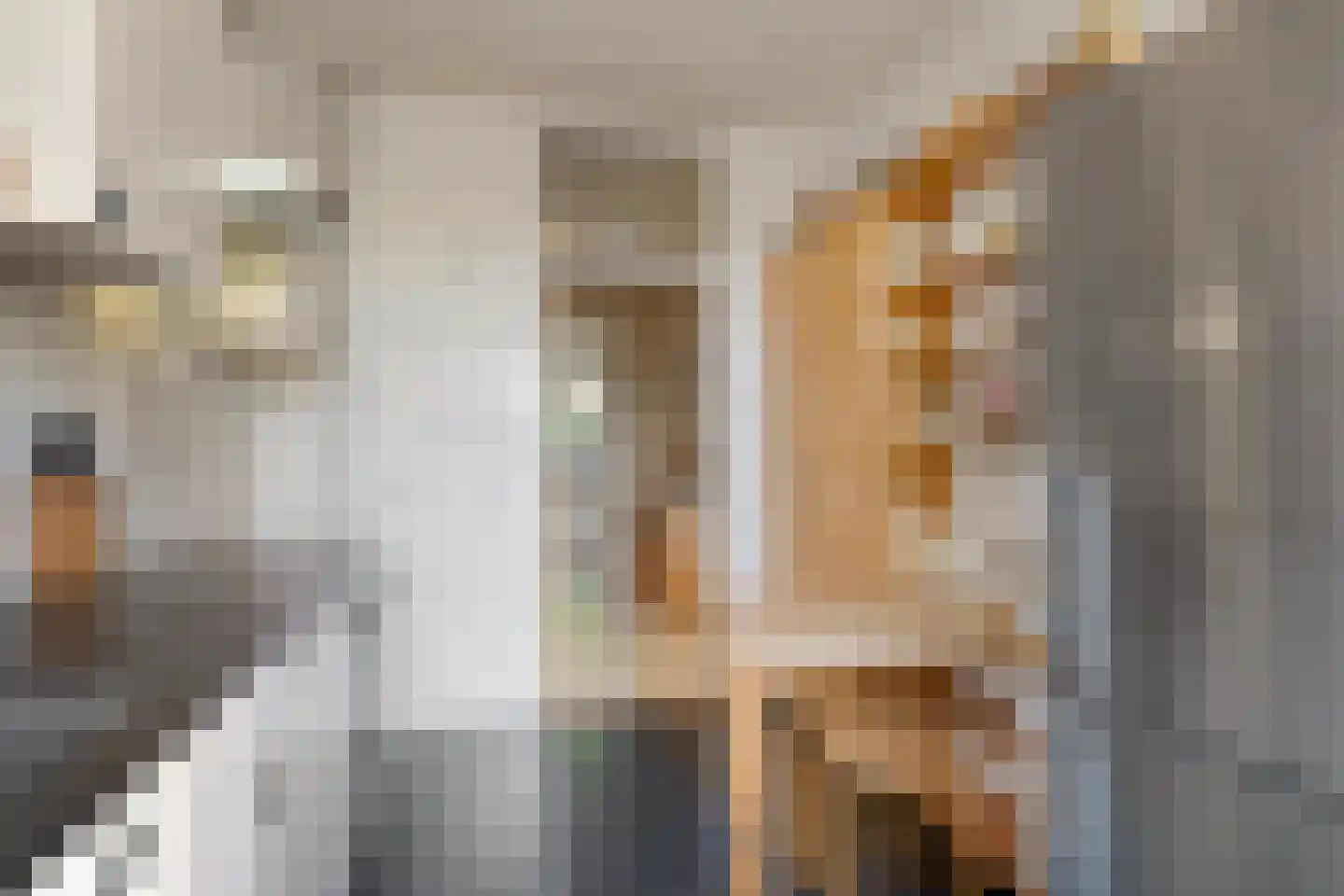 Beringlaan 4 Gouda thumbnail 17