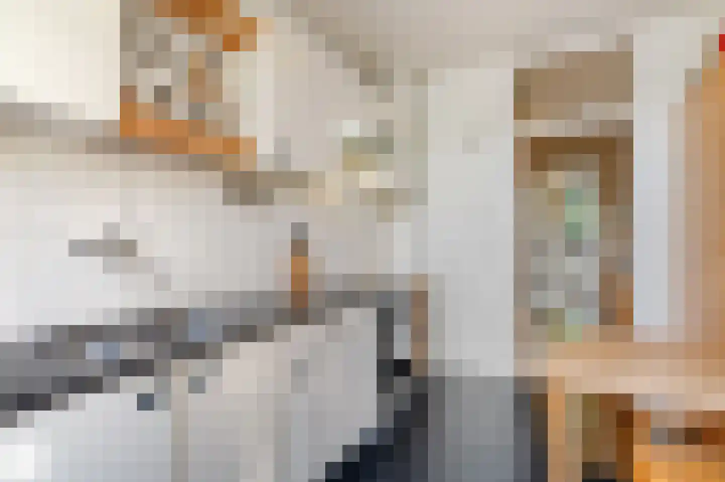 Beringlaan 4 Gouda thumbnail 18